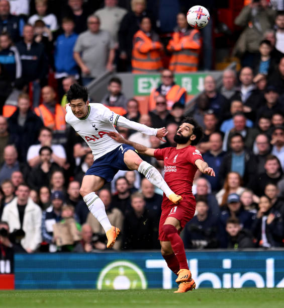 社交媒体公 社交媒体公