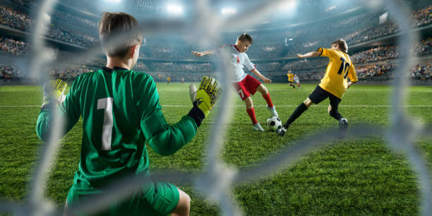 术及心理层 术及心理层